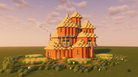 Programmer Art House